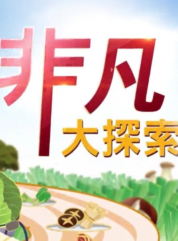 真实约啪高颜值美女做爱完美露脸高颜值女神臣服于胯下爽炸 - 黄中黄在线